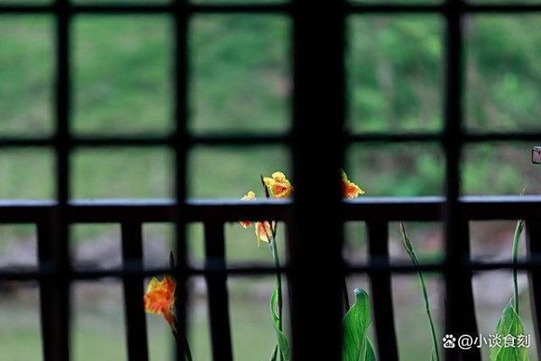 168配资 今日大暑“4人要躲暑” 分别指哪4人？高温下的健康警示